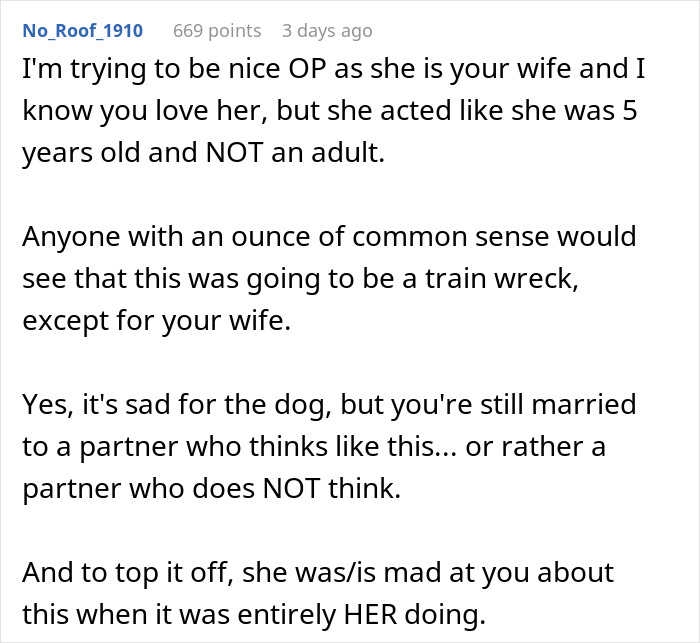“AITA For Refusing To Take Any Responsibility For My Dog Until My Wife Was Forced To Rehome Him?” - 15