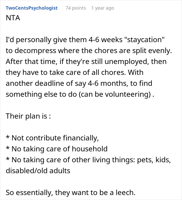 Person Happy To Have A SAH Partner If They Commit To 40 Hours Of Chores, Drama Ensues - 16