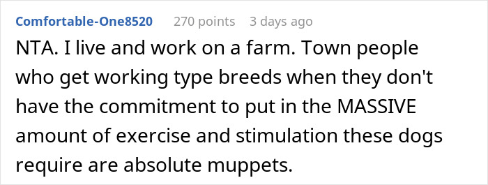 “AITA For Refusing To Take Any Responsibility For My Dog Until My Wife Was Forced To Rehome Him?” - 17