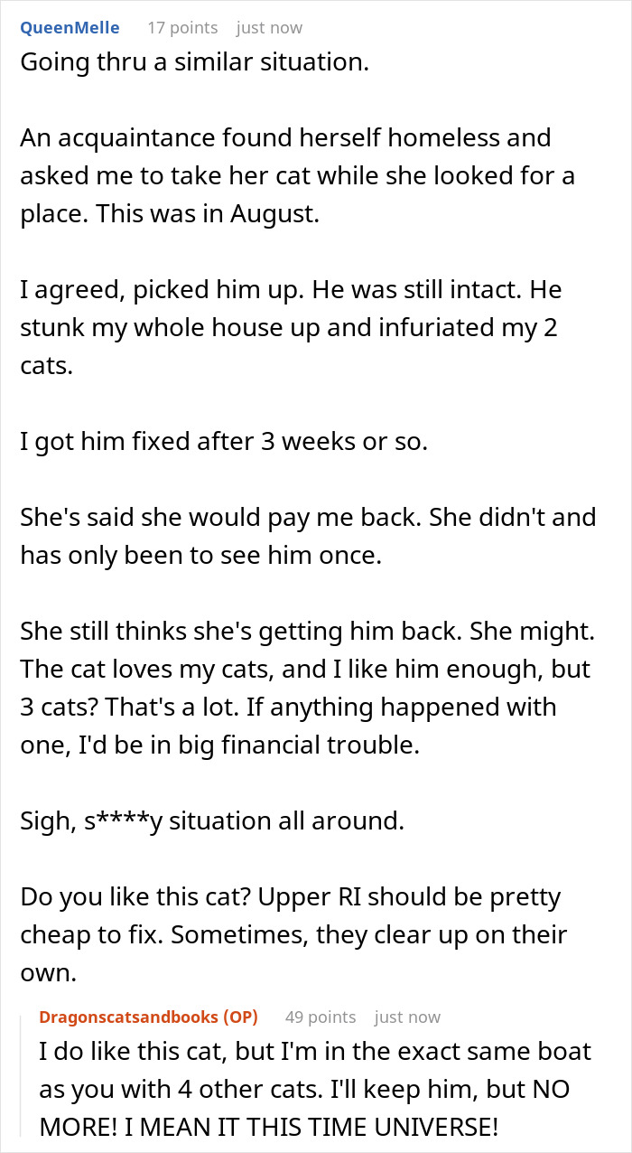 Guy Asks A Friend To Watch His Sick Cat For A While, Starts Ignoring Texts Asking Him To Take It Back