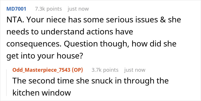 Niece Brazenly Burgles Aunt&rsquo;s Home, Her Mom Flips When Aunt Doesn&rsquo;t Warn About The Cops Coming 