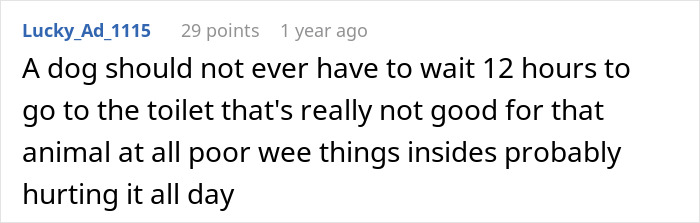Guy Makes A Dumb Excuse Not To Walk GF’s Dog, Is About To Face The Consequences Guy Makes A Dumb Excuse Not To Walk GF’s Dog, Is About To Face The Consequences