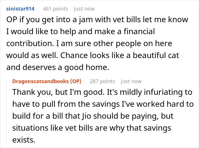 Guy Asks A Friend To Watch His Sick Cat For A While, Starts Ignoring Texts Asking Him To Take It Back