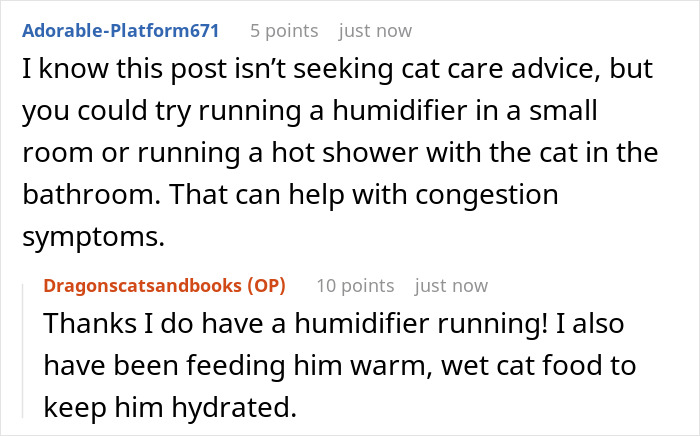 Guy Asks A Friend To Watch His Sick Cat For A While, Starts Ignoring Texts Asking Him To Take It Back