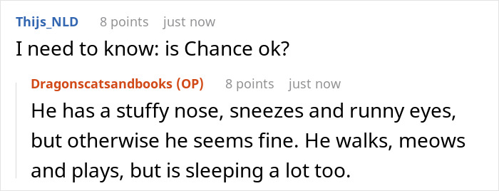 Guy Asks A Friend To Watch His Sick Cat For A While, Starts Ignoring Texts Asking Him To Take It Back