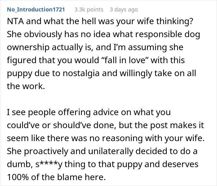 “AITA For Refusing To Take Any Responsibility For My Dog Until My Wife Was Forced To Rehome Him?” - 13