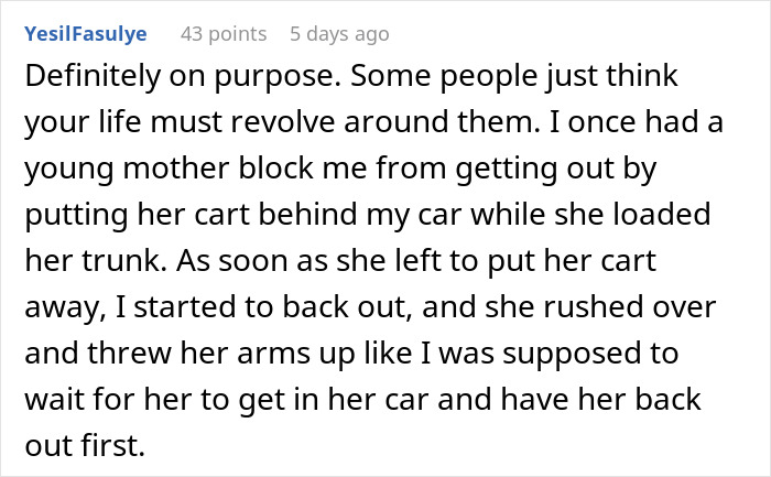 Guy Locks His Cart To Entitled Shopper After Being Annoyed Way Too Much - 20