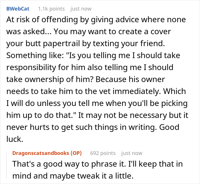 Guy Asks A Friend To Watch His Sick Cat For A While, Starts Ignoring Texts Asking Him To Take It Back