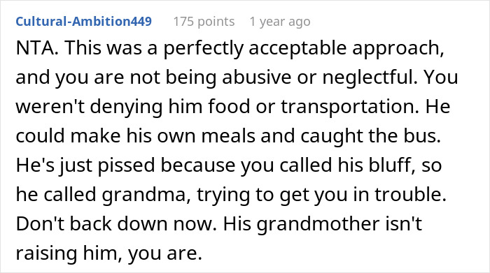 Reddit comment about a teen becoming an exemplary son after mom&rsquo;s unique punishment, with a furious MIL involved.