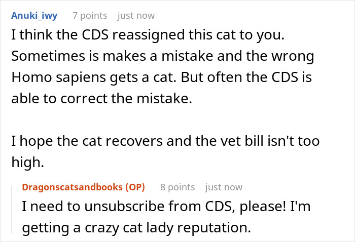 Guy Asks A Friend To Watch His Sick Cat For A While, Starts Ignoring Texts Asking Him To Take It Back