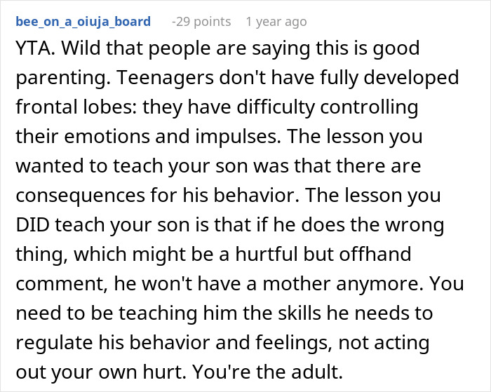 Comment discussing parenting challenges with teenagers and the impact of consequences on their behavior and emotions.