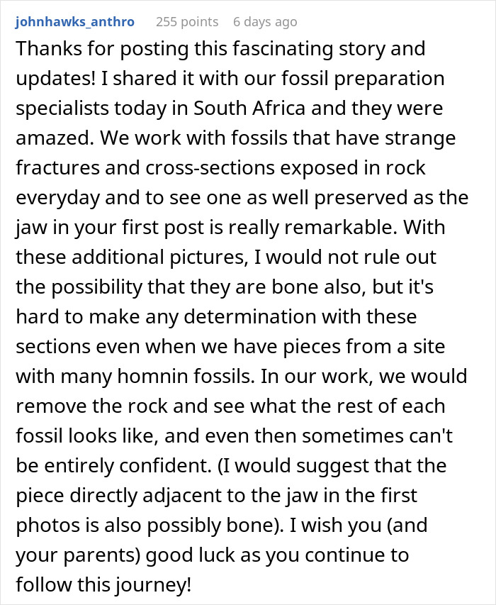 People Wanted A Travertine Floor, Get Surprised By The Human Jawbone That Came With It