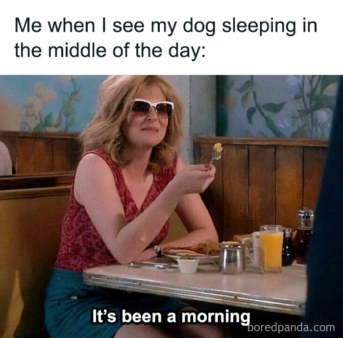 Might Just Log Off And Never Come Back
@bonjourbitchesblog
.
.
.
.
.
.
#workmemes #corporatememes #jobmemes #wfh #wfhlife #wfhmemes #workfromhome #schittscreek #schittscreekmemes