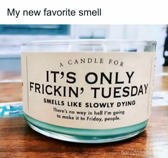 I Could’ve Sworn It Was At Least Wednesday
@taterth0tz
.
.
.
.
.
.
#tuesdaymood #workmemes #thestruggle #fridaywhereareyou