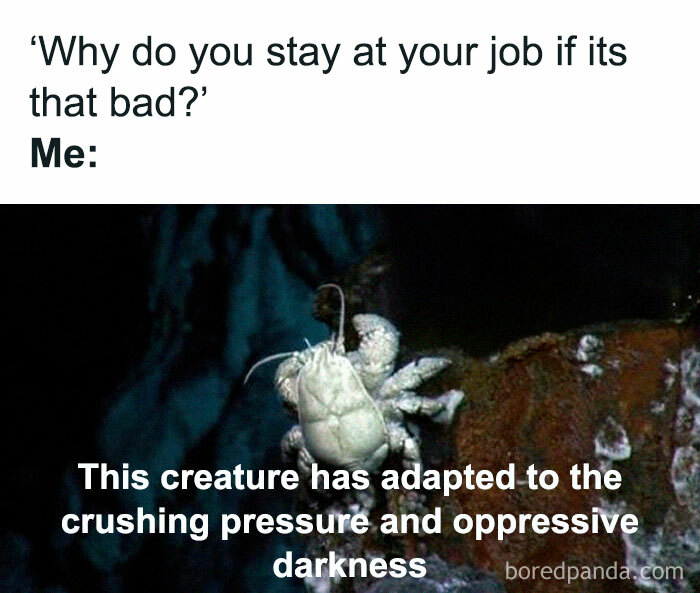 It’s Not So Bad Once You’re Down Here
.
.
.
.
.
.
#workmemes #corporatememes #officelife #thestruggle