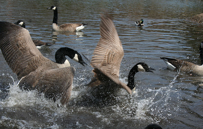 20 Datos interesantes sobre distintos países del mundo