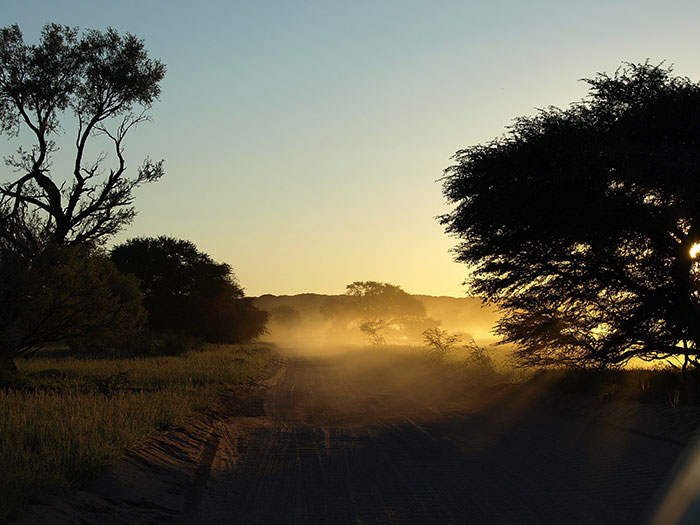 “Scottish Haggis Are Practically Extinct”: 30 Interesting Facts About Countries Round The Globe