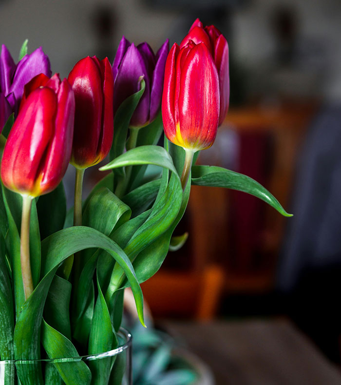 Woman Is Confused If She Was Wrong To Ignore Allergic Diner’s Wishes, Gets A Reality Check - 6