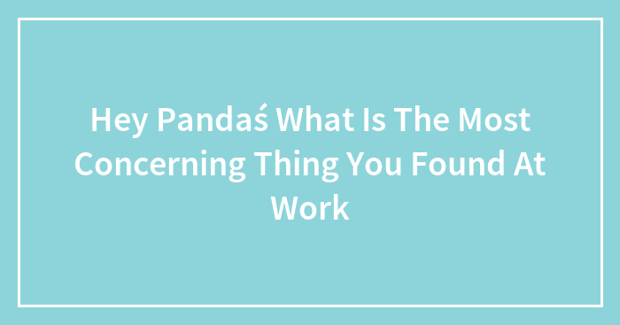 Hey Pandaś What Is The Most Concerning Thing You Found At Work
