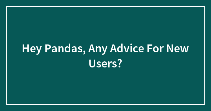 Hey Pandas, Any Advice For New Users?