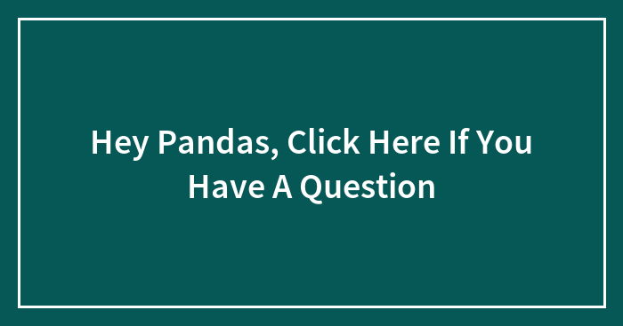 Hey Pandas, Click Here If You Have A Question