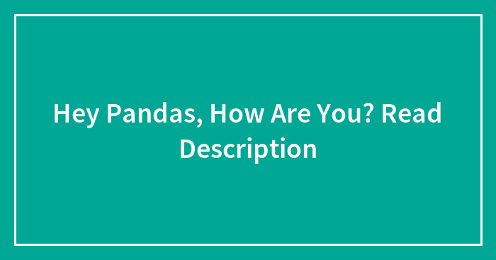 Hey Pandas, How Are You? Read Description