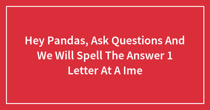 Hey Pandas, Ask Questions And We Will Spell The Answer 1 Letter At A Time