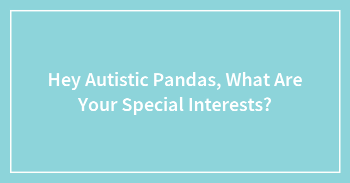 Hey Autistic Pandas, What Are Your Special Interests?