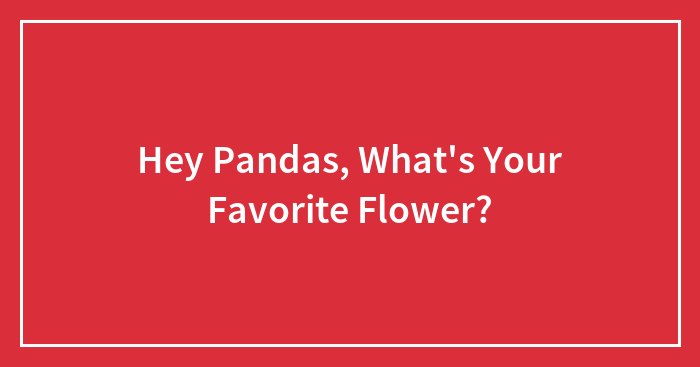 Hey Pandas, What’s Your Favorite Flower?