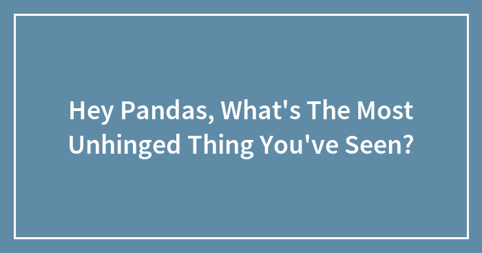Hey Pandas, What’s The Most Unhinged Thing You’ve Seen? (Closed)