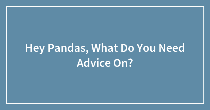 Hey Pandas, What Do You Need Advice On?