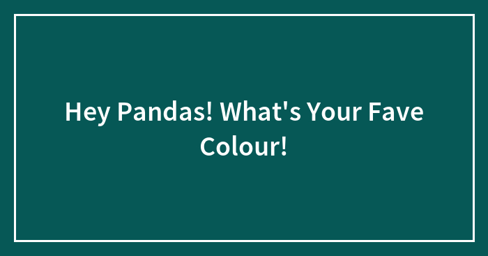 Hey Pandas! What’s Your Fave Colour!