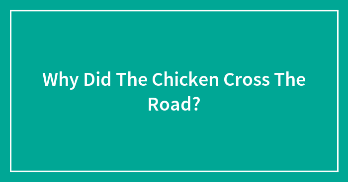 Why Did The Chicken Cross The Road?
