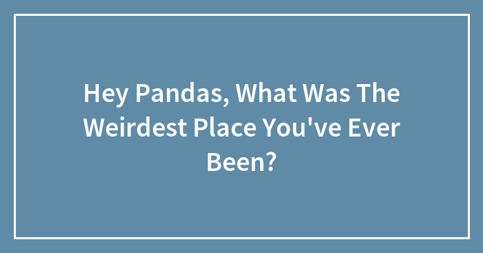 Hey Pandas, What Was The Weirdest Place You’ve Ever Been?