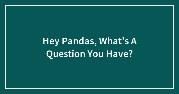 Hey Pandas, What’s A Question You Have?