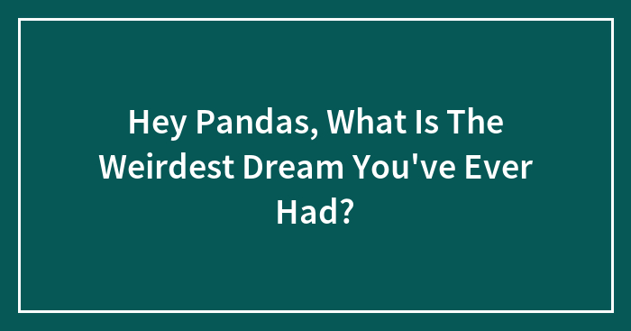 Hey Pandas, What Is The Weirdest Dream You’ve Ever Had?
