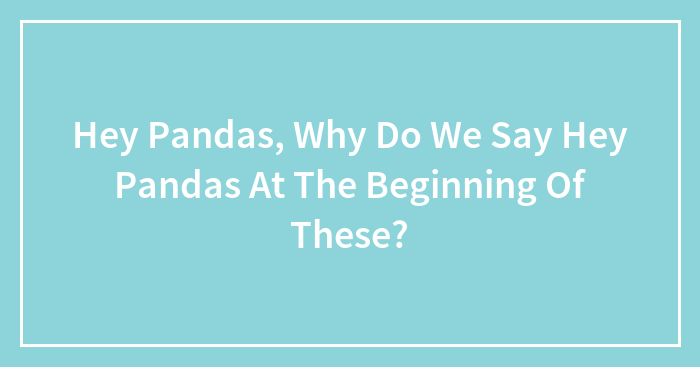 Hey Pandas, Why Do We Say Hey Pandas At The Beginning Of These?