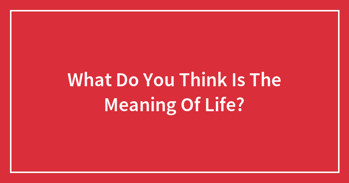 What Do You Think Is The Meaning Of Life?