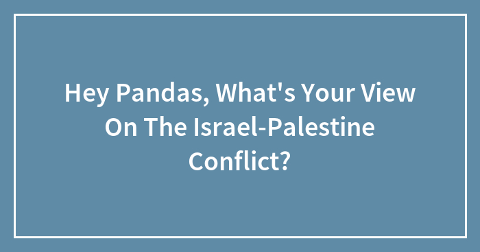 Hey Pandas, What’s Your View On The Israel-Palestine Conflict?