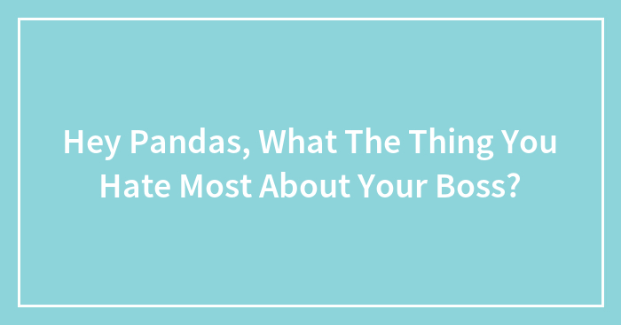Hey Pandas, What’s The Thing You Hate Most About Your Boss? (Closed)