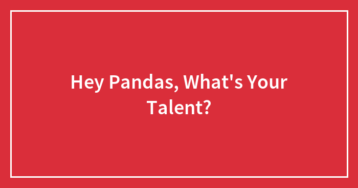 Hey Pandas, What’s Your Talent?