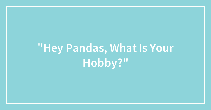 “Hey Pandas, What Is Your Hobby?”