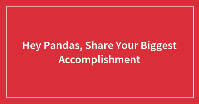 Hey Pandas, Share Your Biggest Accomplishment