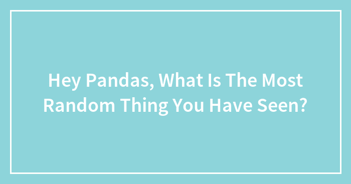 Hey Pandas, What Is The Most Random Thing You Have Seen? (Closed)