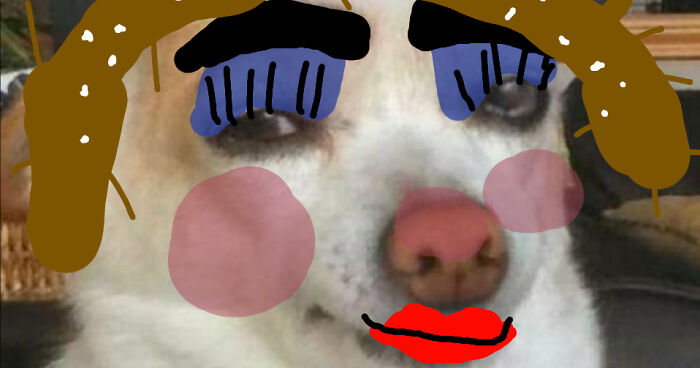 Hey Pandas, Post Your Funniest Homemade Memes! (Closed)