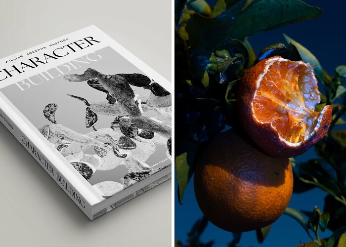 My Dream Of Publishing My Own Photography Book Is Almost A Reality!