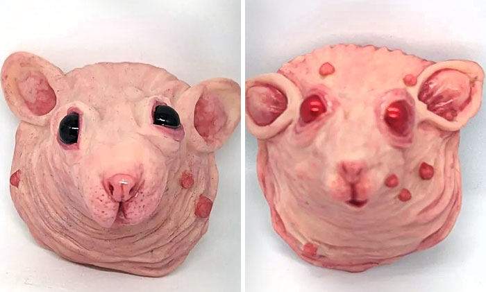 Take A Good Look At My Bald, Hairless Rats. Love Them Or Hate Them, They're Definitely Fun To Make Magnets Out Of