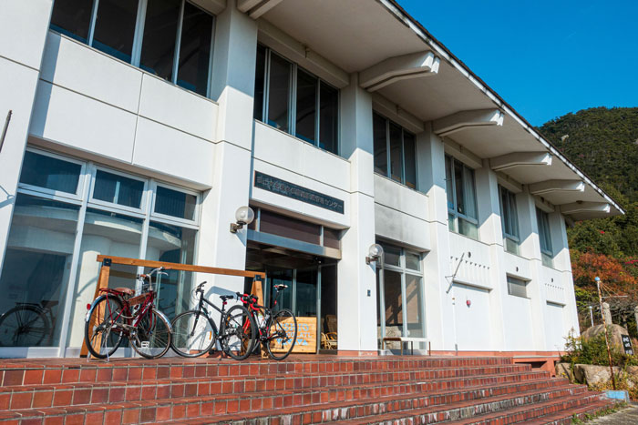 Mom Goes Along With Daughter Trying To Have Horse Class Pet, Girl Stops Due To Potential Shooters