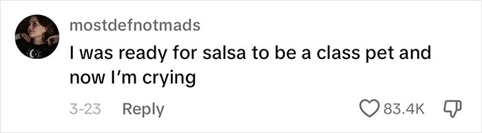 Mom Goes Along With Daughter Trying To Have Horse Class Pet, Girl Stops Due To Potential Shooters