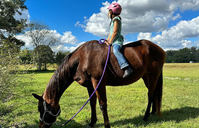 Mom Goes Along With Daughter Trying To Have Horse Class Pet, Girl Stops Due To Potential Shooters